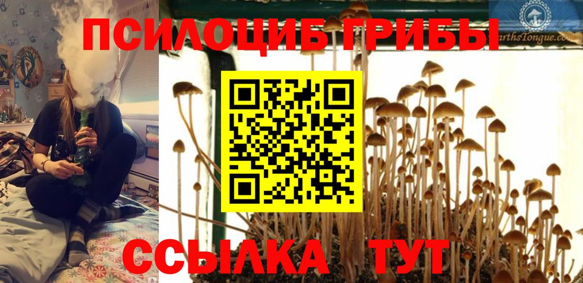 Галлюциногенные грибы Magic Shrooms  Вход с VPN  Казань 