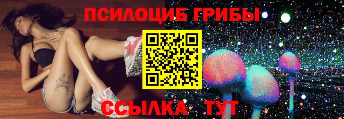 Галлюциногенные грибы прущие грибы Казань